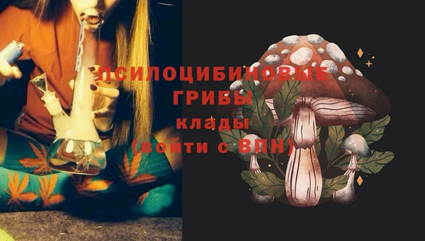прущие крисы Усолье-Сибирское