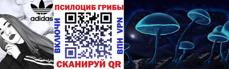 Псилоцибиновые грибы прущие грибы  Мариинск 