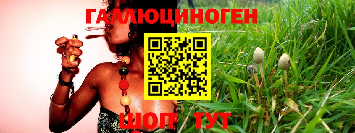 Псилоцибиновые грибы мухоморы Мариинск