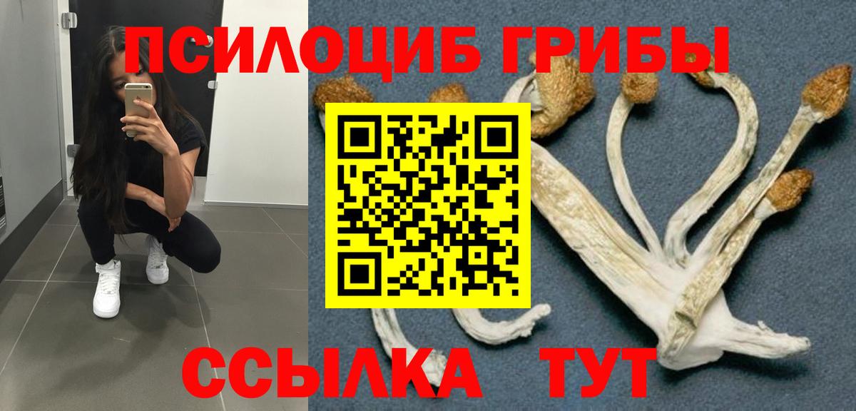 купить наркотики сайты  Вход с VPN  Псилоцибиновые грибы мухоморы  Мариинск  Галлюциногенные грибы ЛСД 